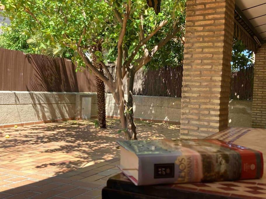 Casa vacanze Al Sur Del Sur