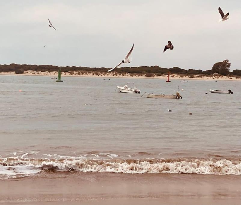 Al Sur Del Sur Sanlúcar de Barrameda